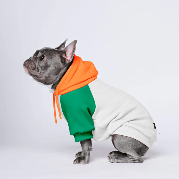 Why Every Dog Mom Needs a Matching Hoodie Set for Themselves and Their Pup