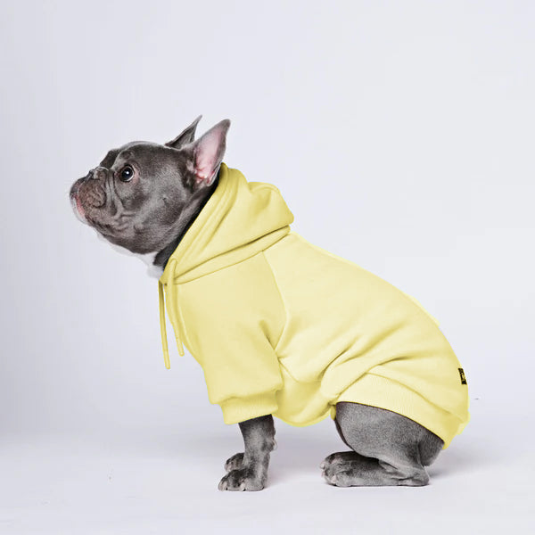 Cozy Paws Solid Color Dogs Hoodie -B