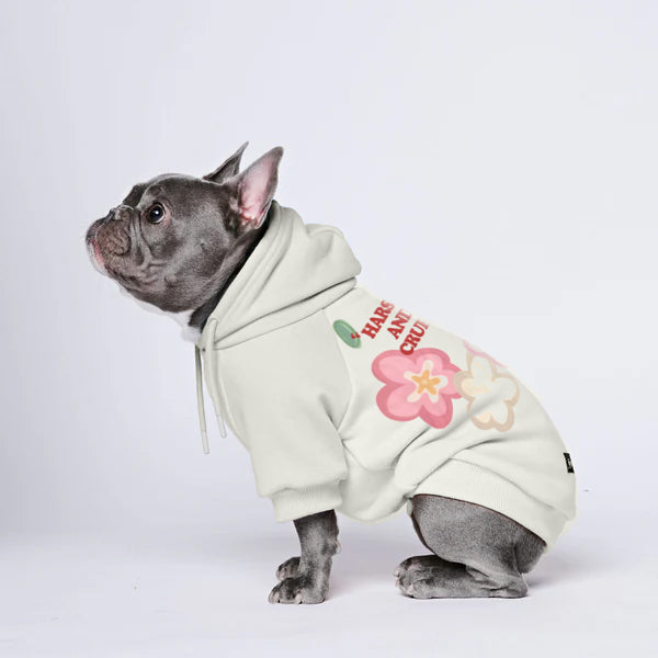 Fresh Green-Cozy Paws Solid Color Dogs Hoodie