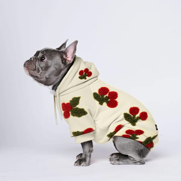 Harvest Harmony-Cozy Paws Patchwork Solid Color Dogs Hoodie