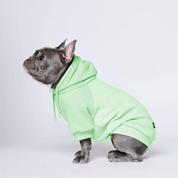 Cozy Paws Solid Color Dogs Hoodie -C