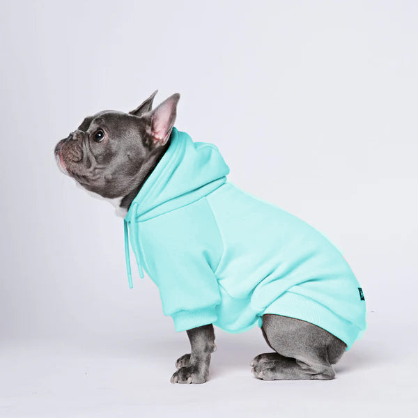 Cozy Paws Solid Color Dogs Hoodie -D