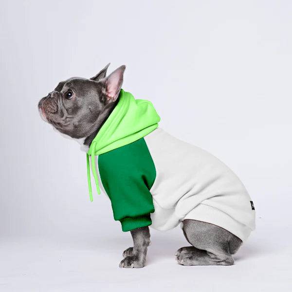 Cozy Paws Patchwork Solid Color Dogs Hoodie -A