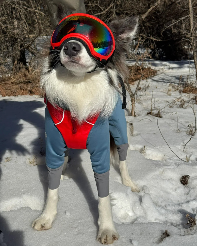 Pet Glasses Dog Sunglasses Red Patch Goggles