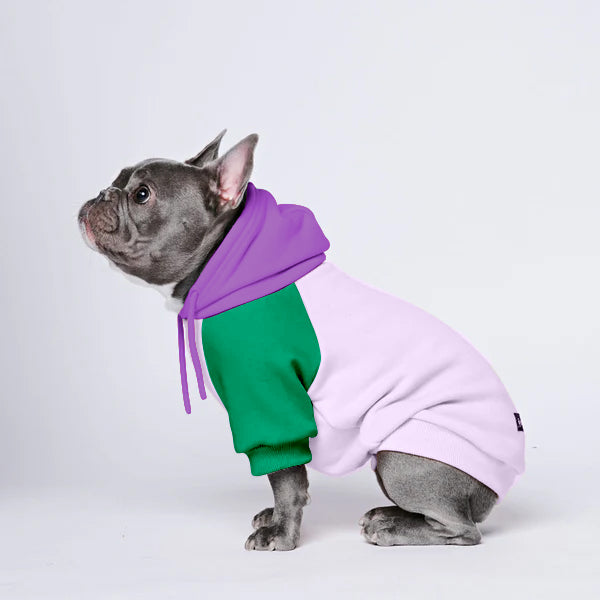 Cozy Paws Patchwork Solid Color Dogs Hoodie -C