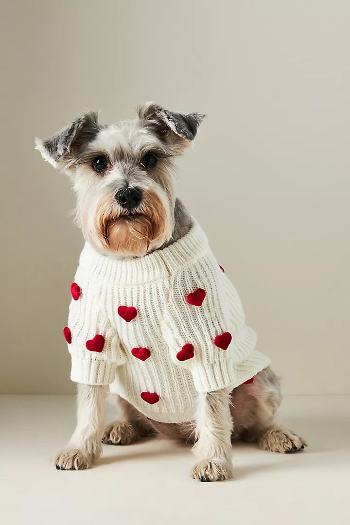 Cream Heart-3D Motif Pet Sweater